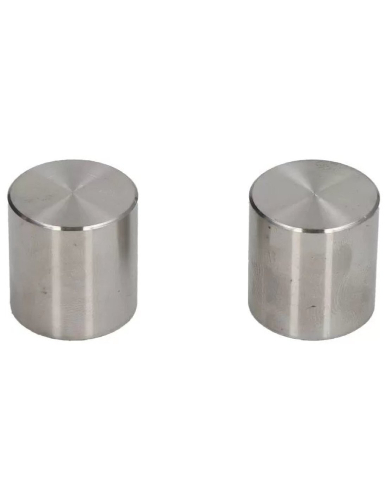 KIT PISTONAS ETRIER FRANA FATA / SPATE ALL BALLS CAN-AM (fara garnituri) [2]