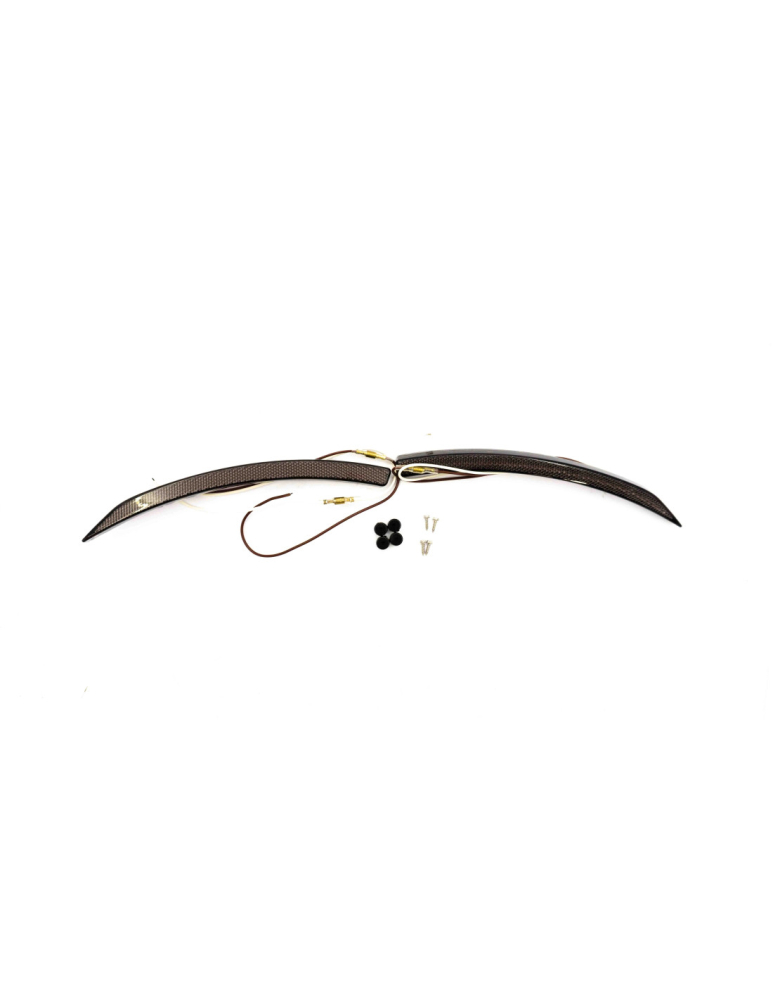 LUMINI DE POZITIE LED CAN-AM RYKER THE BEAST [6]