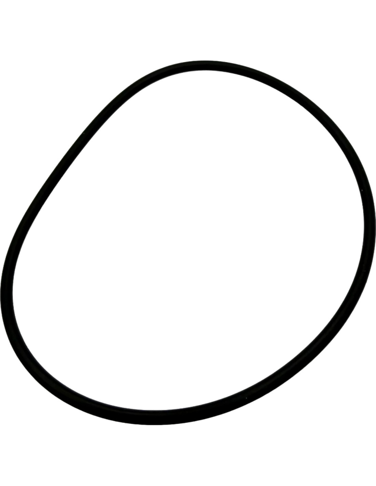 O-RING 88u00d72.8 ATV SEGWAY [2]