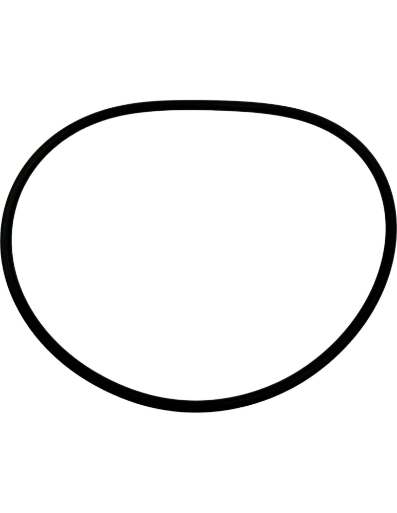 O-RING 88u00d72.8 ATV SEGWAY [4]
