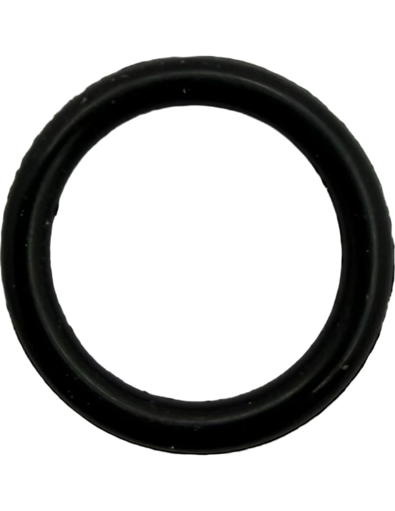 O-RING AX POMPA APA ATV CFMOTO X8 X10 NEW GEN 3 [3]