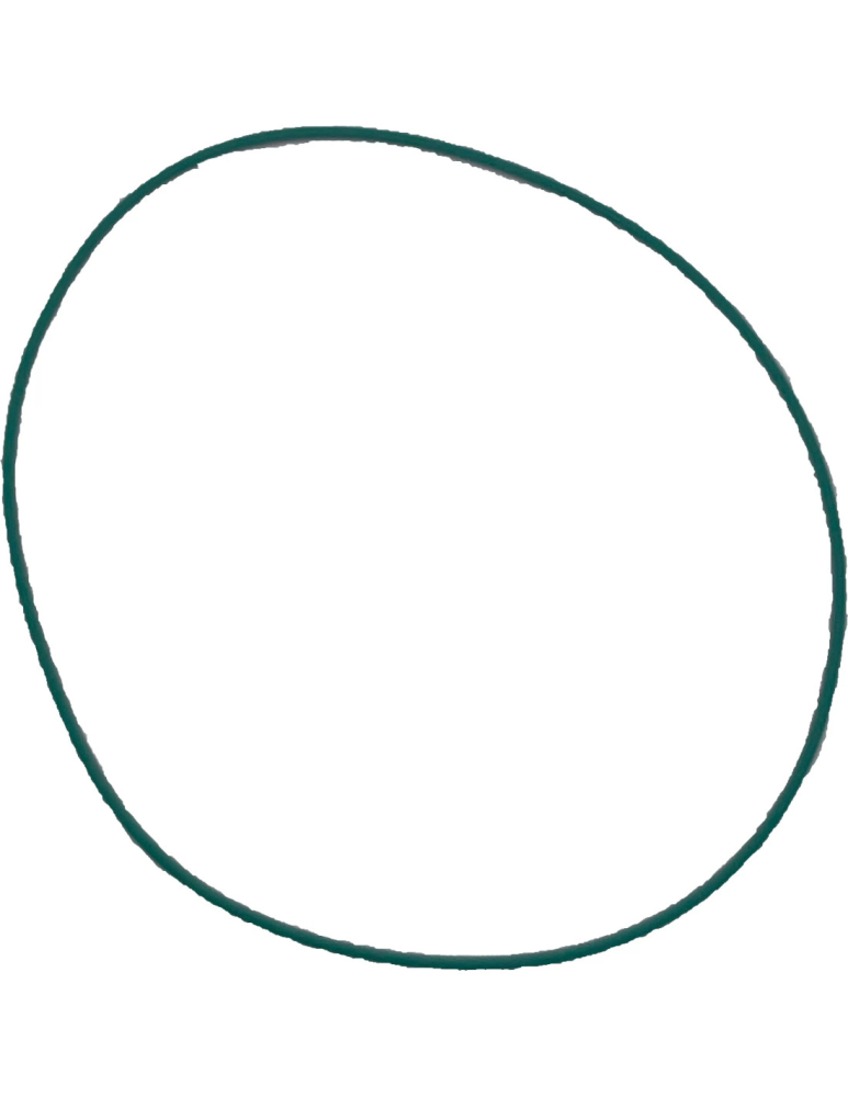 O-RING ETANSARE CARCASE GRUP [2]