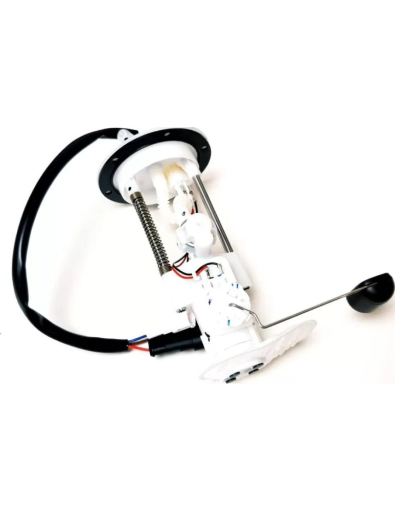 POMPA COMBUSTIBIL ATV LINHAI 570 PROMAX (euro 5) /M570L (euro 5) [3]