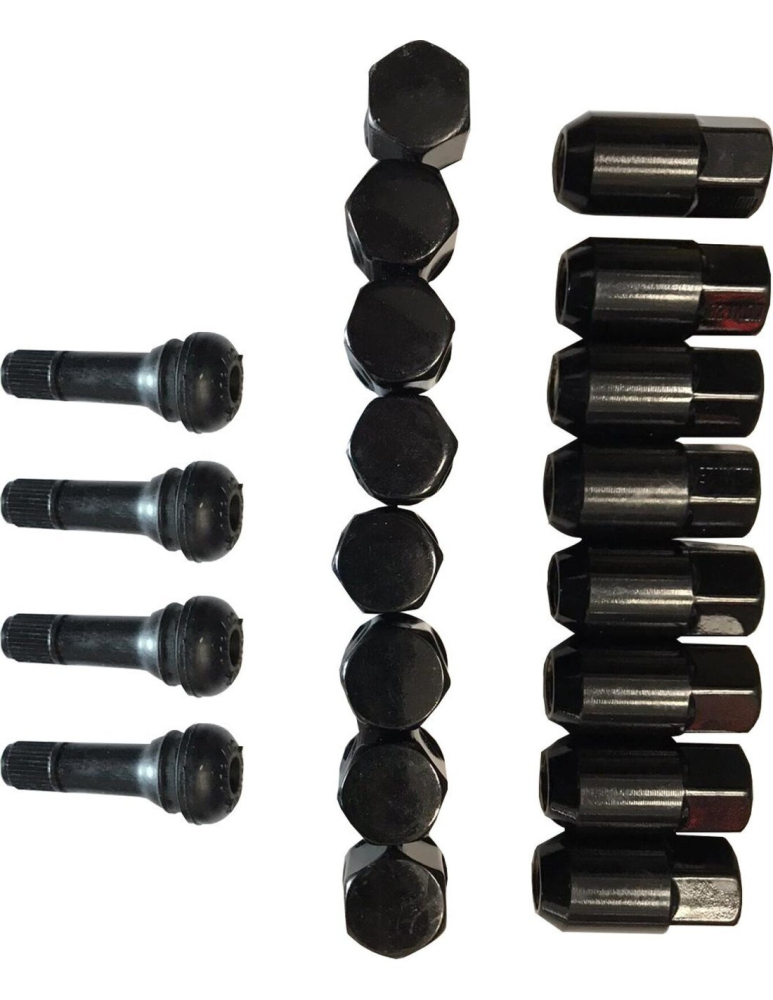 SET PIULITE PREZON NEGRE 10MM X 1.25 (16 BUC) - MOOSE [2]