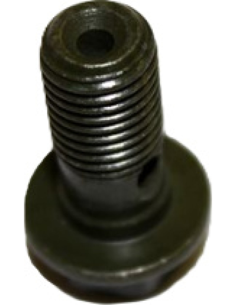 SURUB BANJO CONDUCTA FRANA M10X1.25 CFMOTO [2]