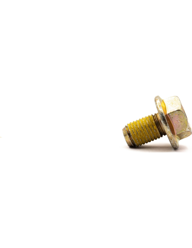 SURUB M10 X 16 [2]