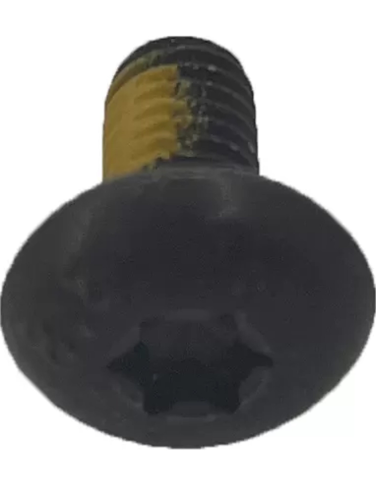 SURUB TORX M6X12 [2]