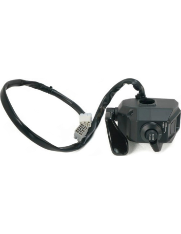 PIESE - ACCELERATIE ELECTRONICA ATV CFMOTO 850 / 1000 X10 2025+ (COD inlocuit cu 9AWV-169080-1101)