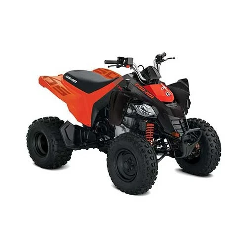 KIDS - ATV COPII CAN-AM DS STD 250 INT