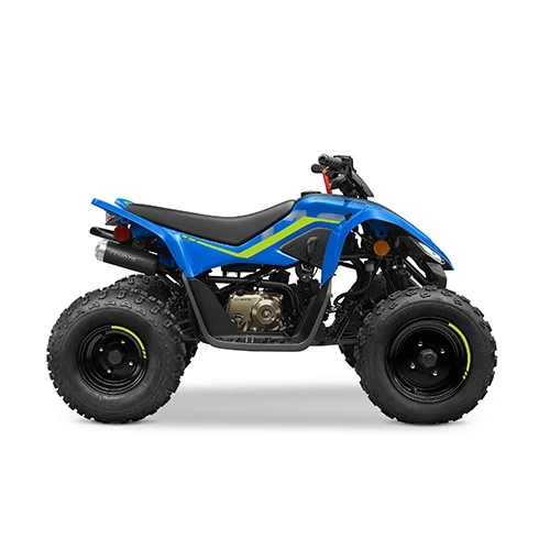 ATV COPII CFMOTO CFORCE 110 ALBASTRU 2025 [1]