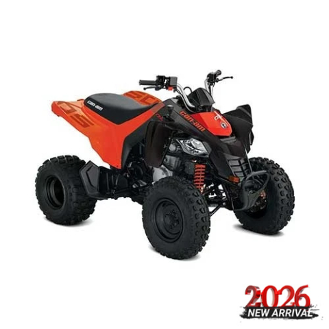 KIDS - ATV COPII CAN-AM DS STD 250 INT 2026