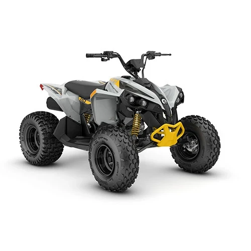 ATV COPII CAN-AM RENEGADE 110 EFI INT 2026 [1]