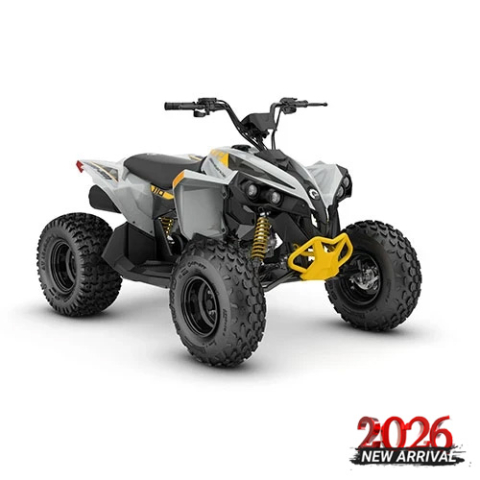 KIDS - ATV COPII CAN-AM RENEGADE 110 EFI INT 2026