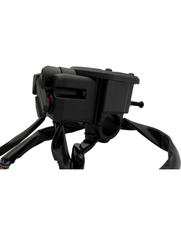 BLOC ACCELERATIE DREAPTA ATV GOES TERROX 400/500 (2024+) (COD inlocuit cu 9GQV-167000-9101) [6]