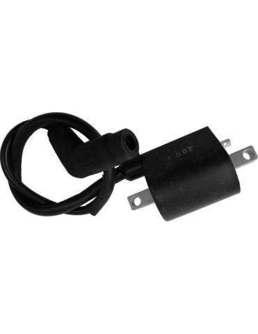 PIESE - BOBINA INDUCTIE COMPLETA ATV LINHAI 260/300/400