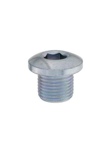 BUSON MAGNETIC SCURGERE ULEI GRUP / DIFERENTIAL CFMOTO (M14X1.25X12) (0180) [1]