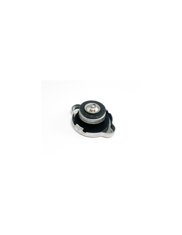 PIESE - CAPAC UMPLERE APA CFMOTO ZFORCE