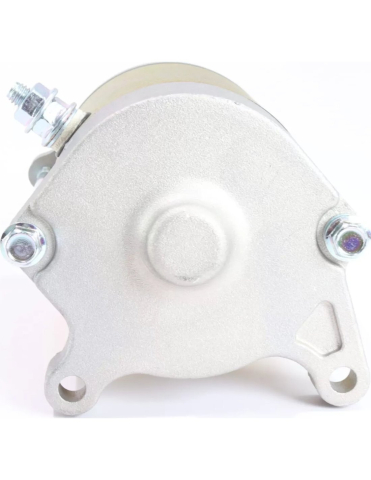 ELECTROMOTOR CFMOTO [2]