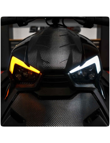 FARURI LED CAN-AM RYKER THE BEAST [3]