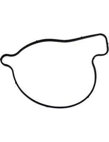 PIESE - GARNITURA POMPA APA BRP / CAN-AM