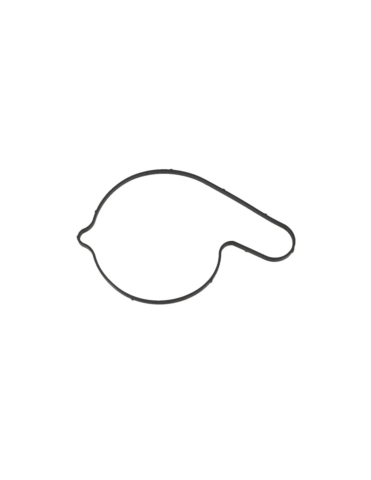 GARNITURA POMPA APA CFMOTO (COD inlocuit cu 0JWA-080004-00002) [1]