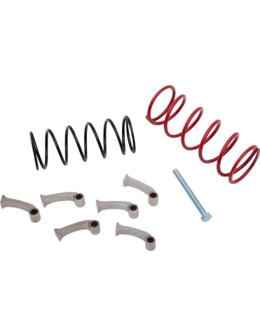 PIESE - KIT GREUTATI / CIOCANELE VARIATOR CVT ATV CAN-AM - EPI