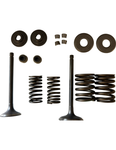 PIESE - KIT SUPAPE CHIULASA ATV LINHAI 300 / ATV LINHAI 370 PROMAX T3b