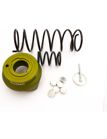 KIT VARIATOR UPGRADE ATV CFMOTO CFORCE 800 / 850 RJWC [1]