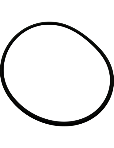 PIESE - O-RING 88u00d72.8 ATV SEGWAY