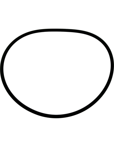 O-RING 88u00d72.8 ATV SEGWAY [3]