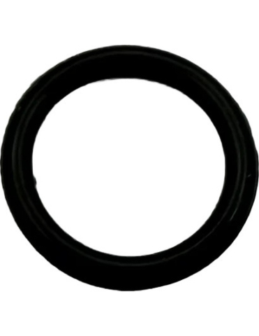 O-RING AX POMPA APA ATV CFMOTO X8 X10 NEW GEN 3 [3]