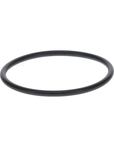 O-RING CUTIE VITEZA MAVERICK X3 [1]