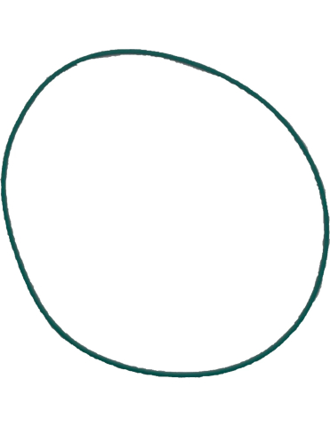 O-RING ETANSARE CARCASE GRUP [1]