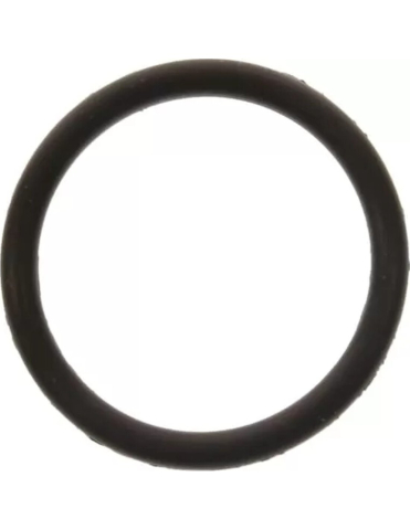 PIESE - O-RING MARE CARCASA INTINZATOR LANT DISTRIBUTIE ATV / SSV CAN-AM