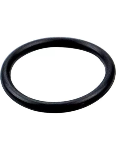 PIESE - O-RING VARIATOR