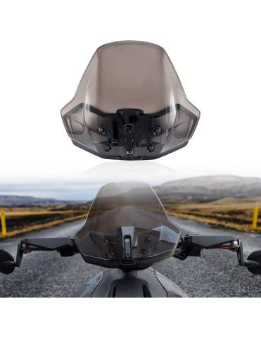 ACCESORII RYKER - PARBRIZ FUMURIU CAN-AM RYKER