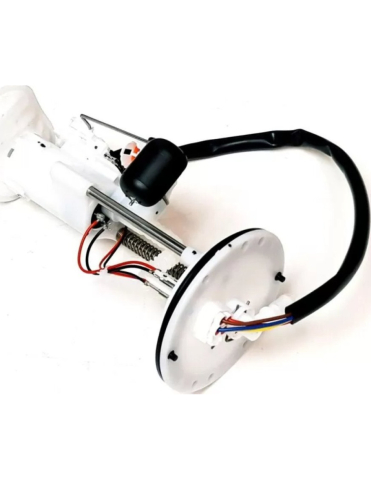 POMPA COMBUSTIBIL ATV LINHAI 570 PROMAX (euro 5) /M570L (euro 5) [0]
