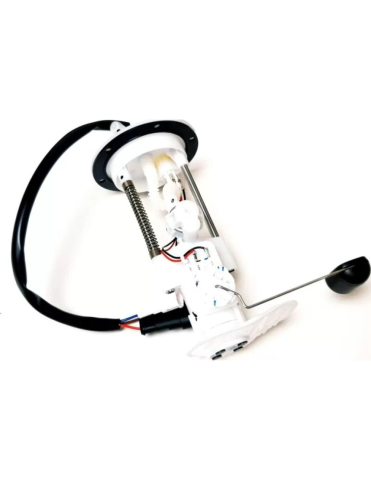 POMPA COMBUSTIBIL ATV LINHAI 570 PROMAX (euro 5) /M570L (euro 5) [2]