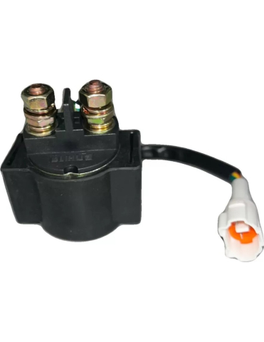 RELEU PORNIRE CFMOTO CF110 [1]