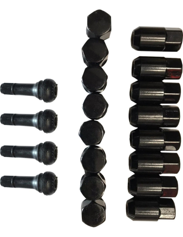 SET PIULITE PREZON NEGRE 10MM X 1.25 (16 BUC) - MOOSE [1]