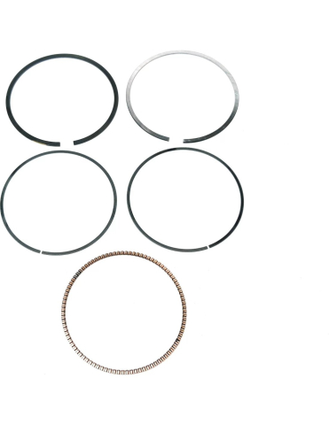 PIESE - SET SEGMENTI 600 ATV TGB
