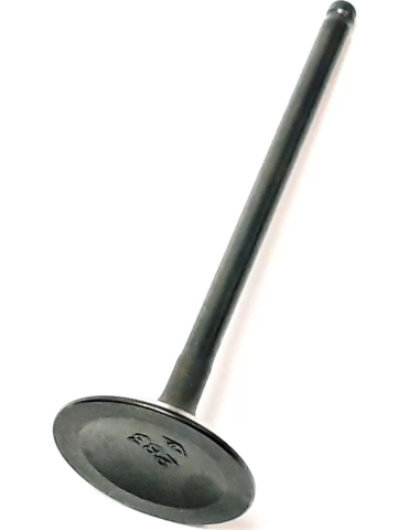 SUPAPA ADMISIE ATV TGB BLADE / TARGET 250/325 [1]