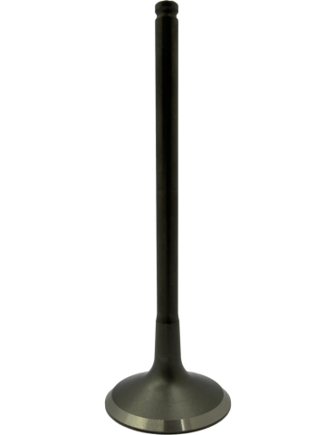 SUPAPA EVACUARE SEGWAY [2]