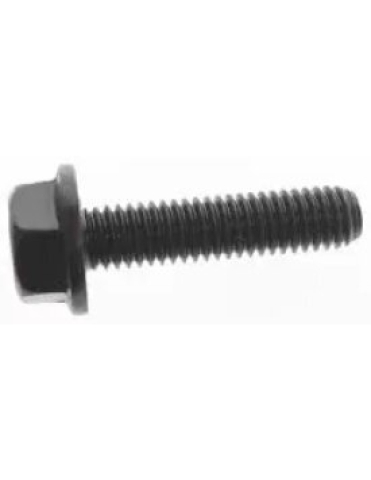 PIESE - SURUB INEL BEADLOCK - CAN-AM ATV / SSV / UTV (25 mm)