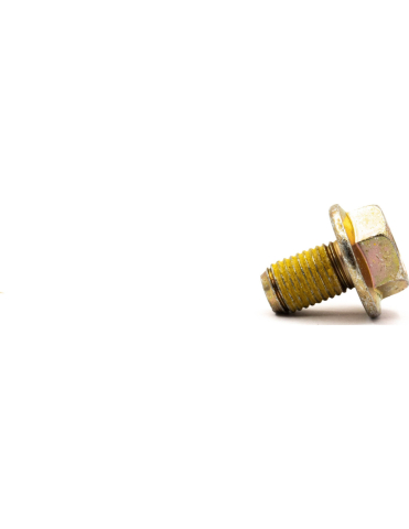 SURUB M10 X 16 [1]