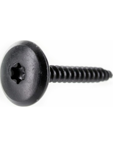 SURUB TORX M6 X 25 [1]