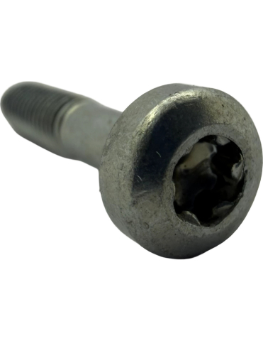 TORX SCREW M4X20 [2]