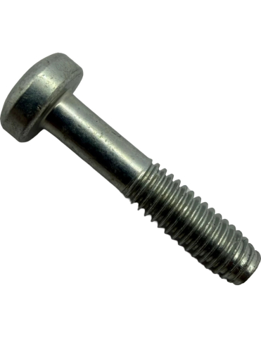 PIESE - TORX SCREW M4X20