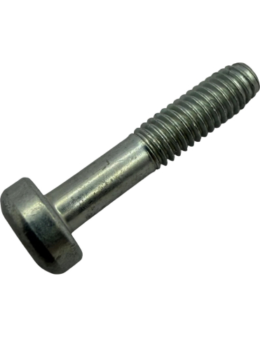 TORX SCREW M4X20 [1]
