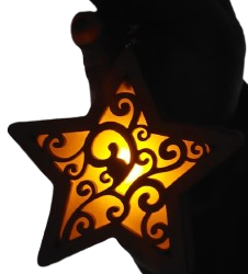 Decoratiune de Craciun cu led - model steluta [2]